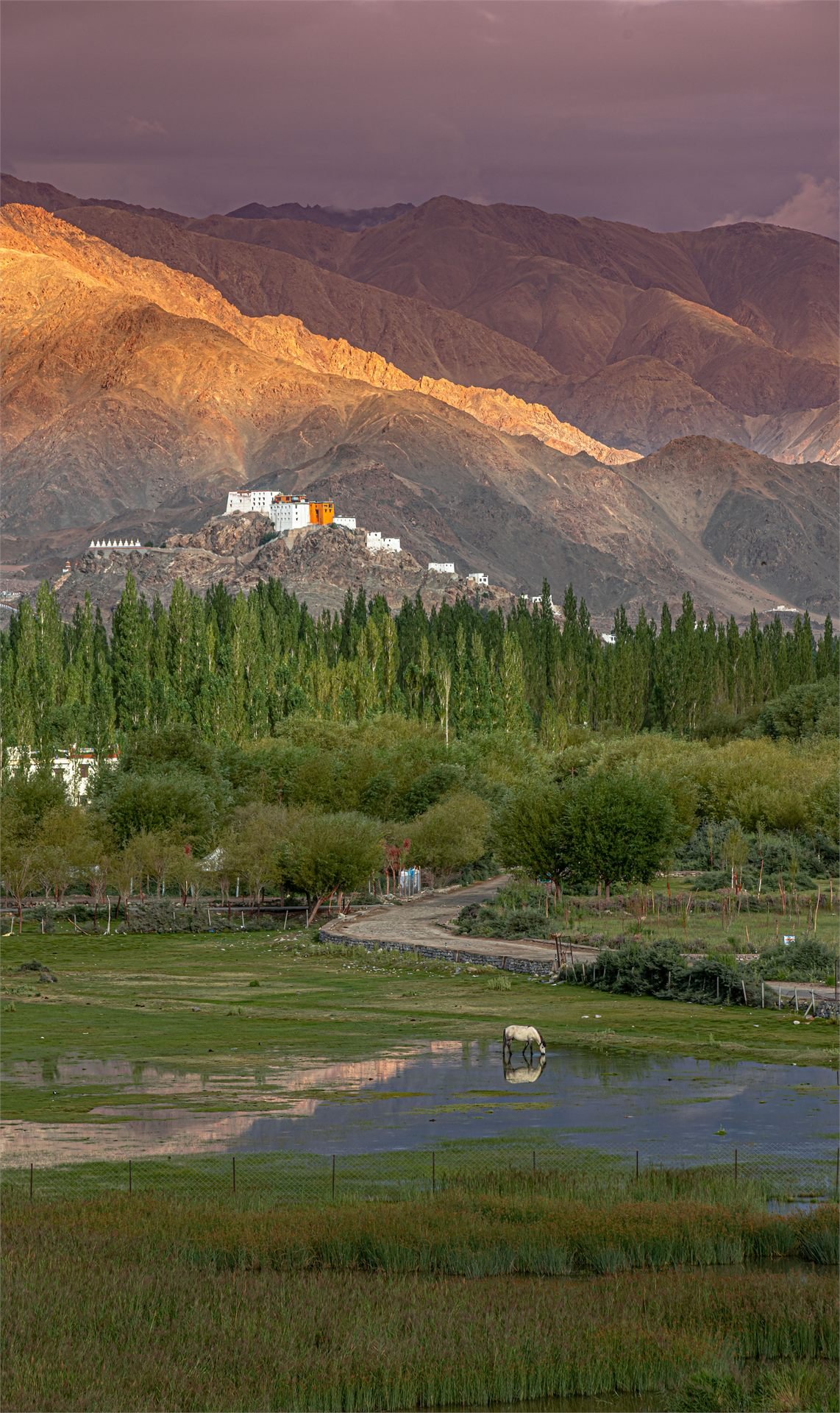 The Living Heritage Journey